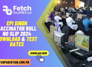 EPI Sindh Vaccinator Roll No Slip 2024 Download & Test Date Announced