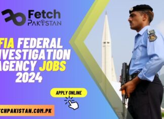 FIA Jobs 2024 Apply Online Federal Investigation Agency