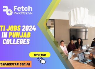 CTI Jobs 2024 in Punjab Colleges