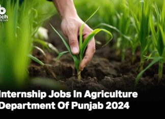 Internship Jobs In Agriculture Department In Punjab 2024