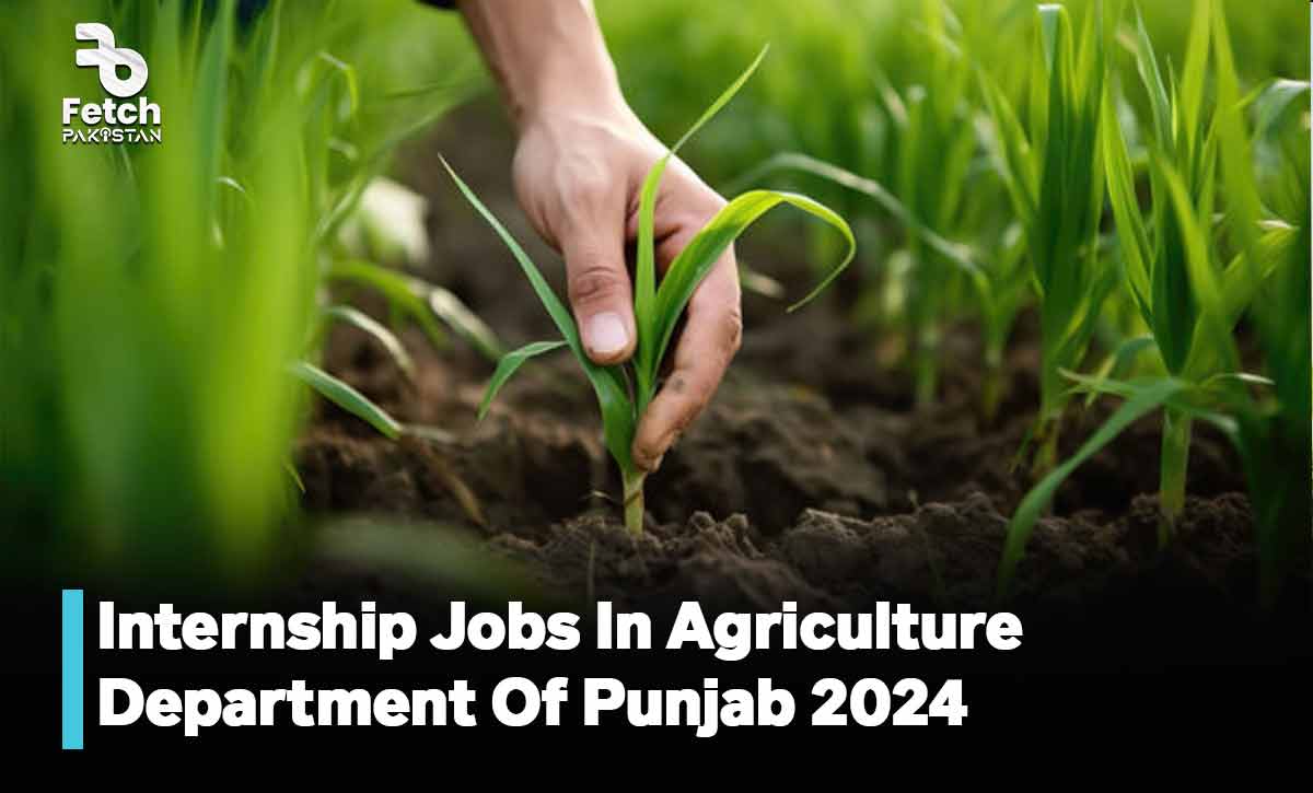 Internship Jobs In Agriculture Department In Punjab 2024