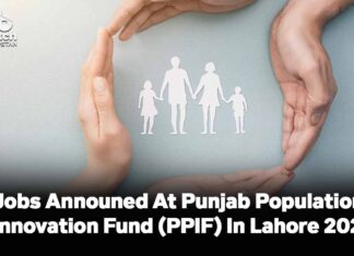 Job Opportunities At Punjab Population Innovation Fund (PPIF) Announced In Lahore For 2024