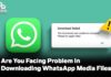 Are You Facing Problem In Downloading WhatsApp Media Files? Find Out Why Are You Facing Problem In Downloading WhatsApp Media Files? Find Out Why