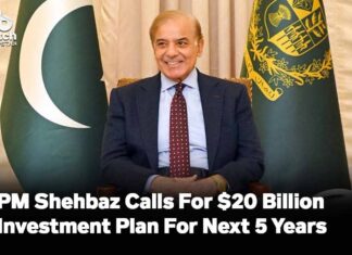 PM Shehbaz Calls For $20 Billion Investment Plan For Next 5 Years