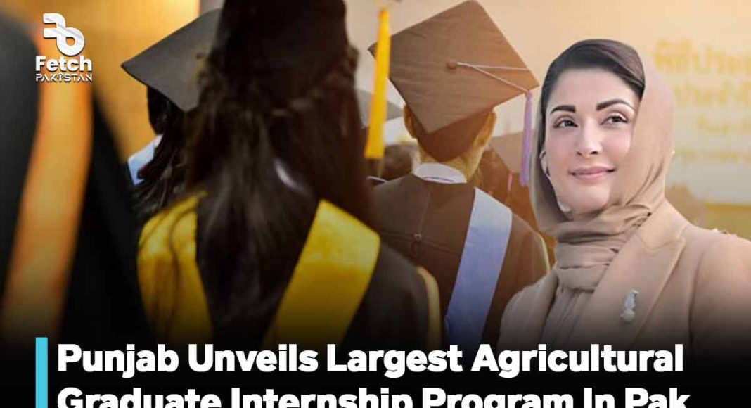 Punjab Unveils Largest Agricultural Graduate Internship Program in Pakistan