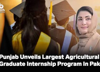 Punjab Unveils Largest Agricultural Graduate Internship Program in Pakistan