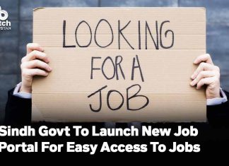 Sindh Govt To Launch New Job Portal For Easy Access To Jobs